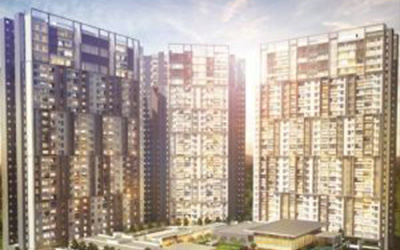 Serenity Plus Basın Ekspres